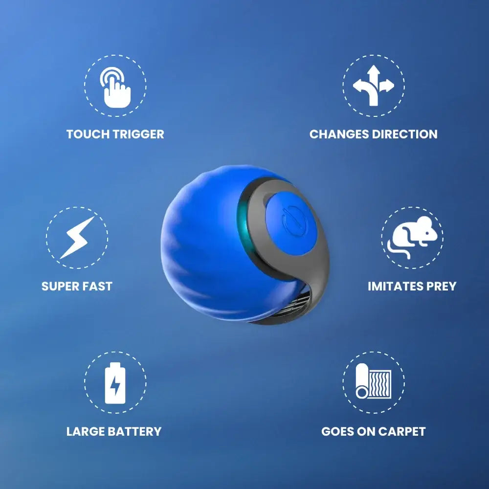 Playtime Speedy Tail Pro 2.0