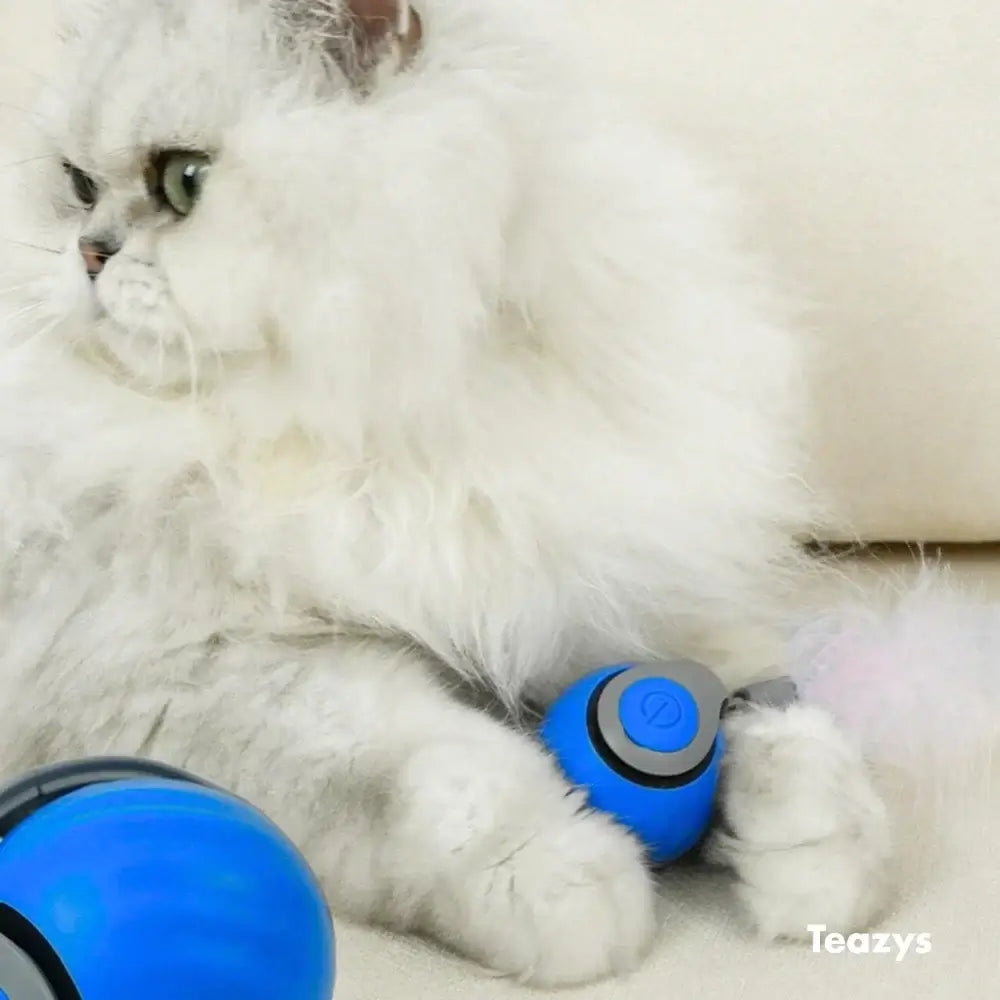 Playtime Speedy Tail Pro 2.0
