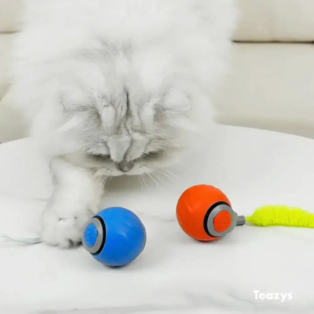 Playtime Speedy Tail Pro 2.0