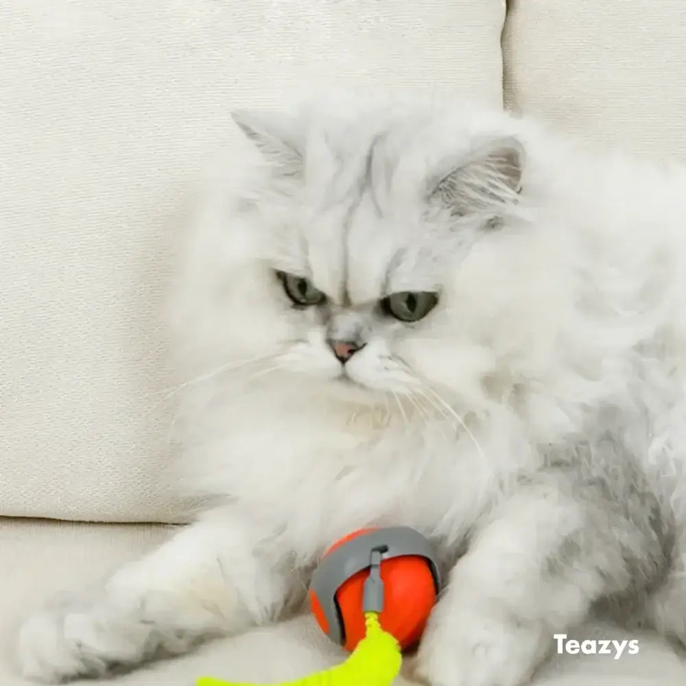 Playtime Speedy Tail Pro 2.0